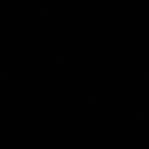 Meet your Posher, Cate